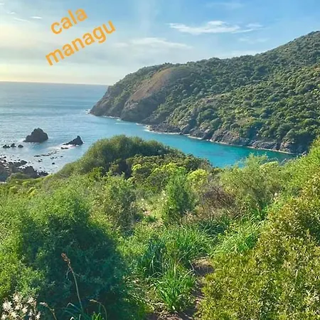 Il Narciso * בוסה